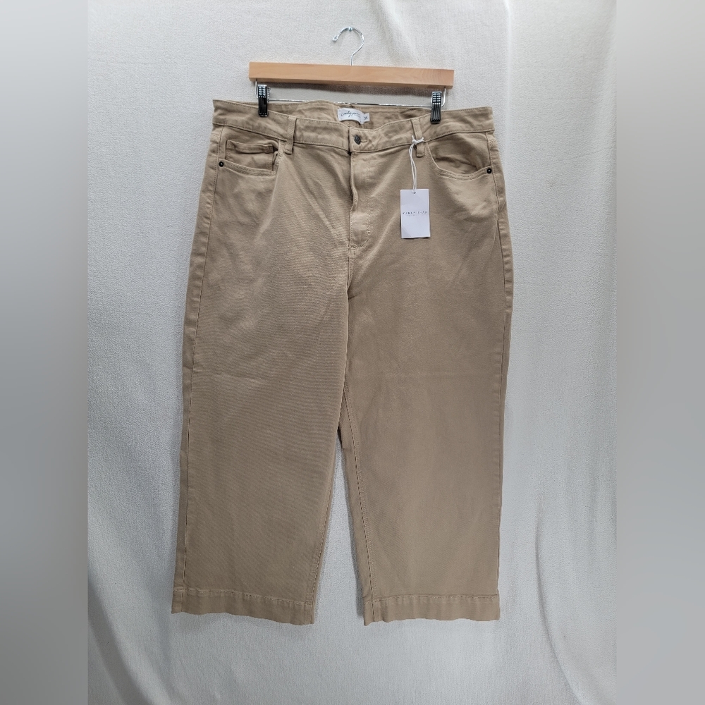 NWT Carly Jean MER Classic High Rise Wide leg Beige Khaki Pants Size-3X